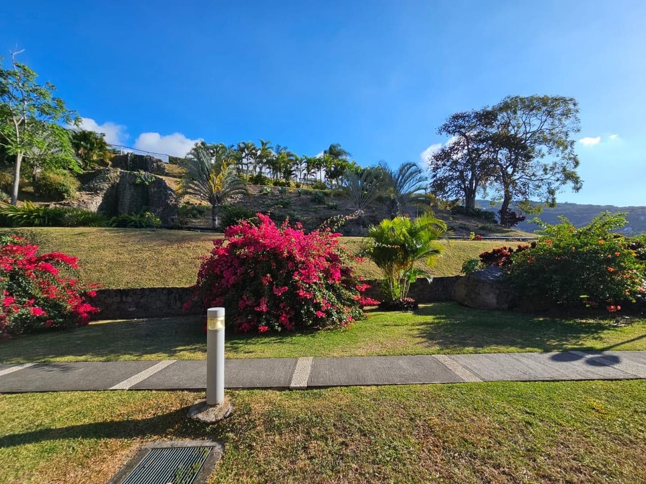 Jardines del condominio con buganvilias