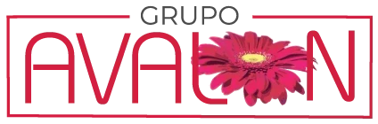 Grupo Avalon