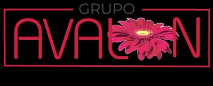 Grupo Avalon