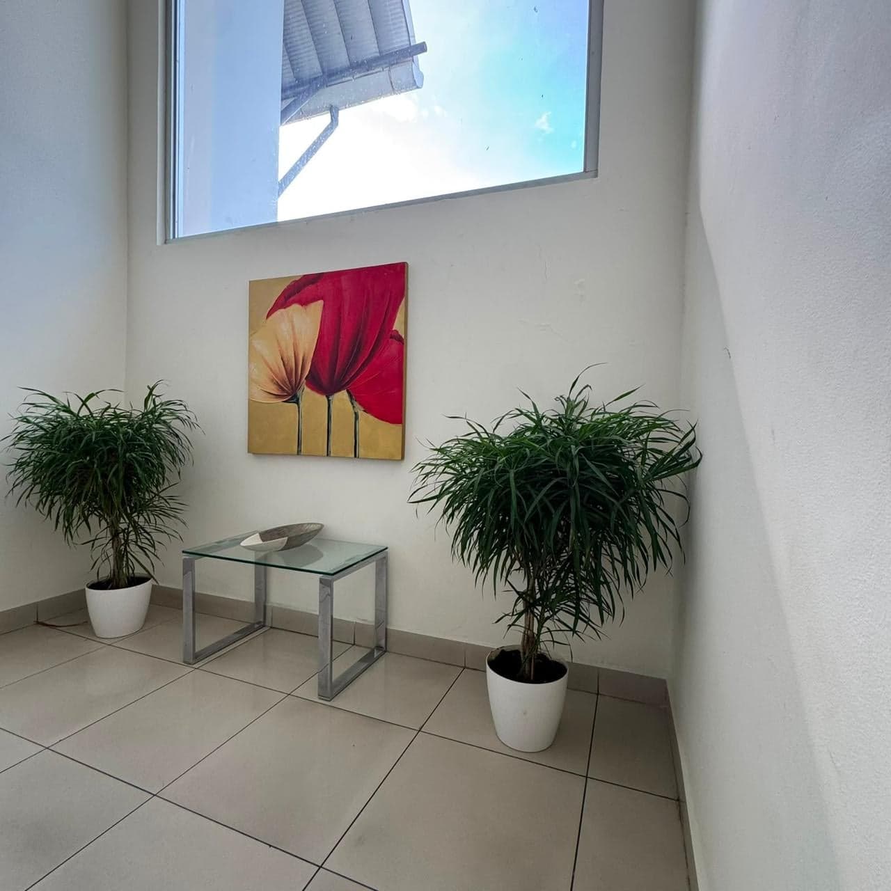 Vestíbulo con tragaluz y plantas